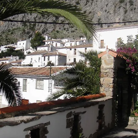 Buganvilla *