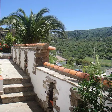 Buganvilla